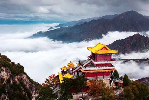 西安纯粹云 赏红叶观云海，漫山遍野火红枫叶似天边红霞