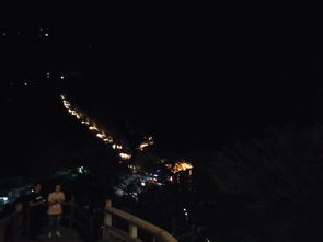 既见君子，云胡不喜 ―― 记西安纯粹云